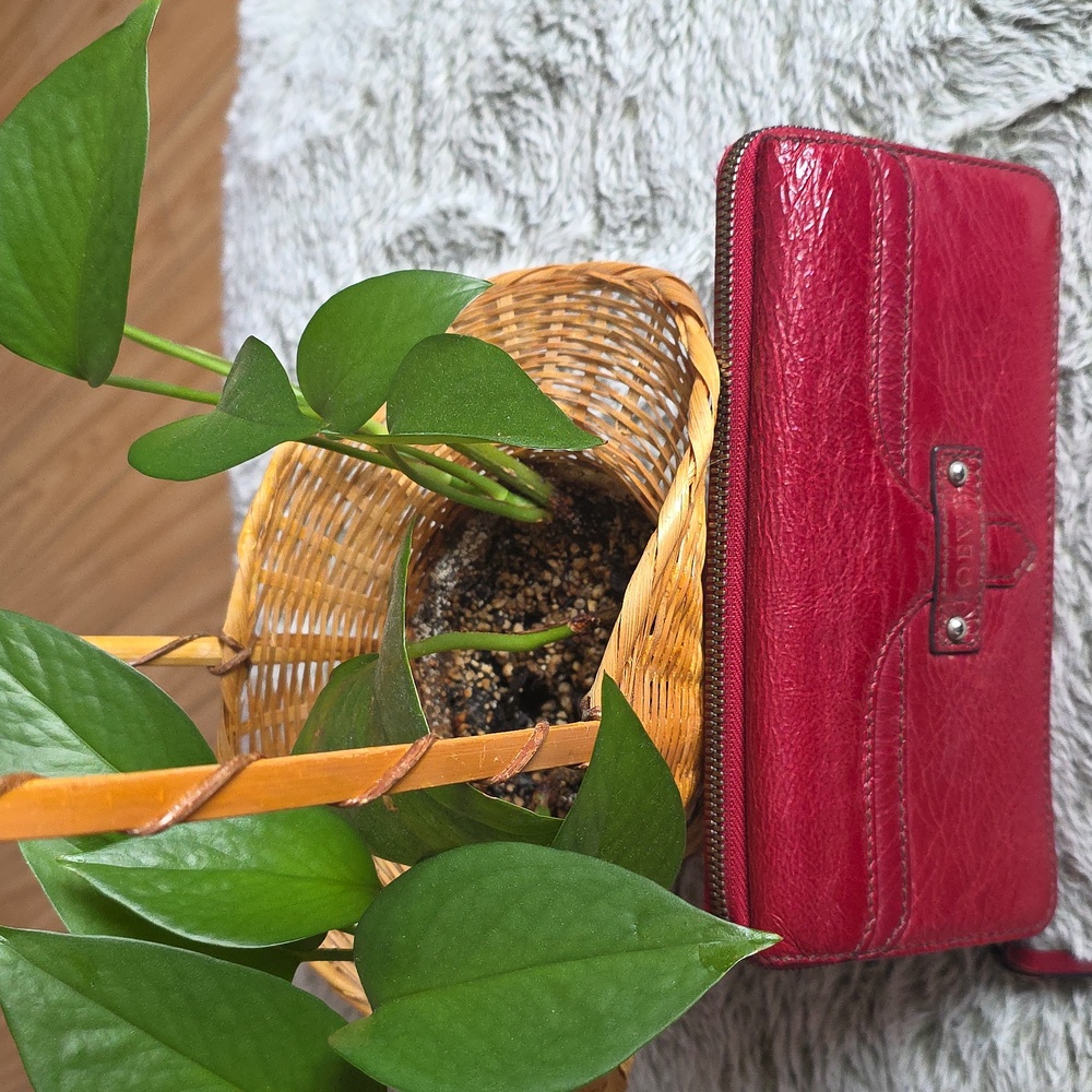 Loewe Women's Red Leather Wallet